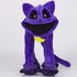 Великий КетНеп з Усміхнені Звірята з Poppy Playtime Smiling Critters Фото 2